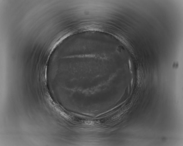 X0000115340790200911161831