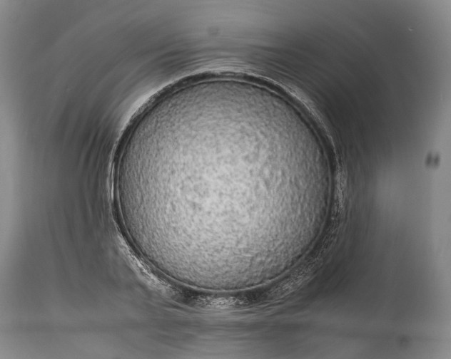 X0000115340791200911161831