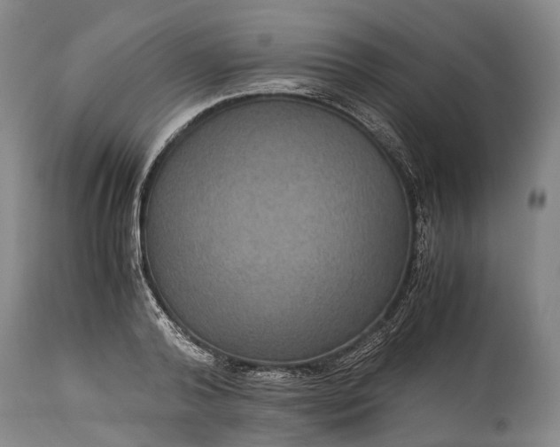 X0000115340792200911161831