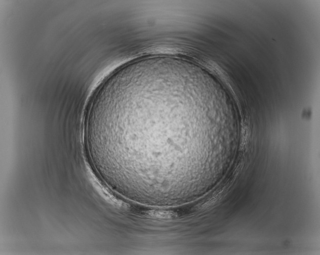 X0000115340795200911161831