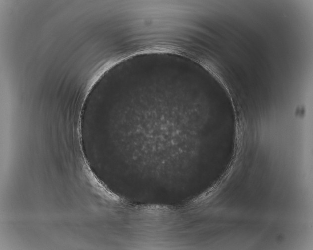 X0000115340797200911161831