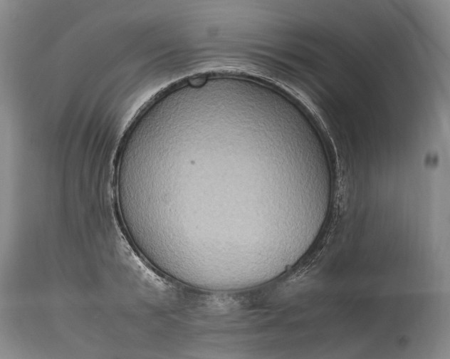 X0000115340799200911161831