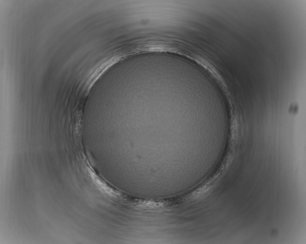 X0000115340801200911161830