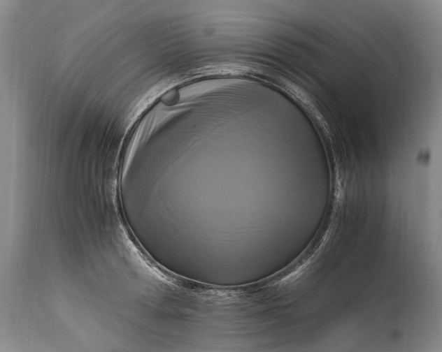 X0000115340802200911161830