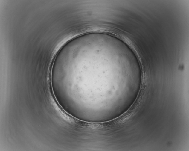 X0000115340803200911161830