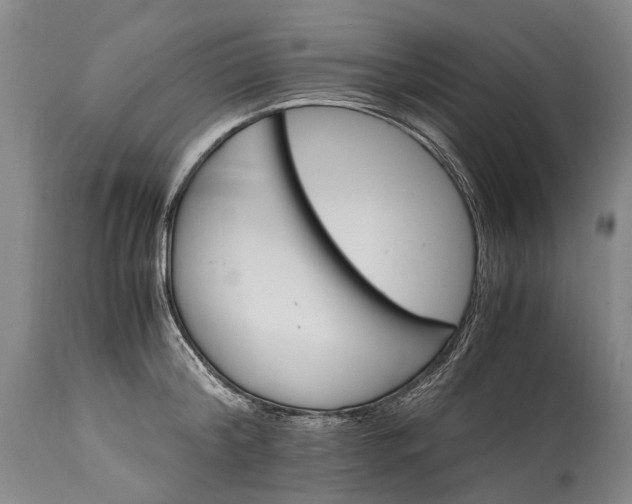X0000115340804200911161830