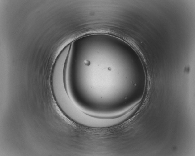 X0000115340805200911161830