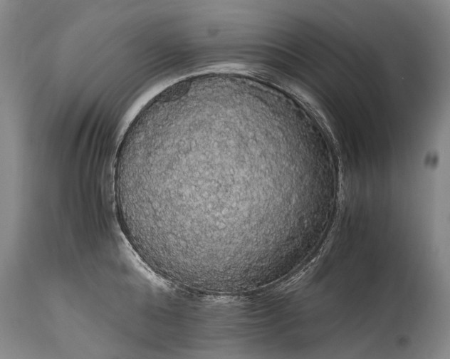 X0000115340808200911161830
