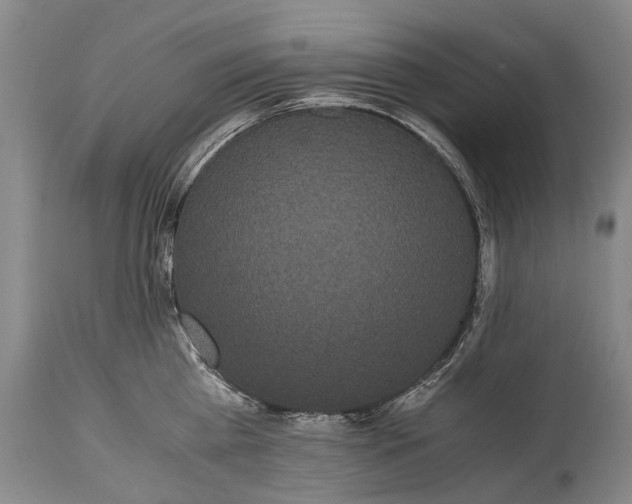X0000115340809200911161830