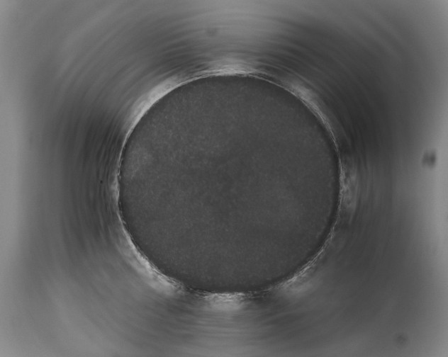 X0000115340810200911161830