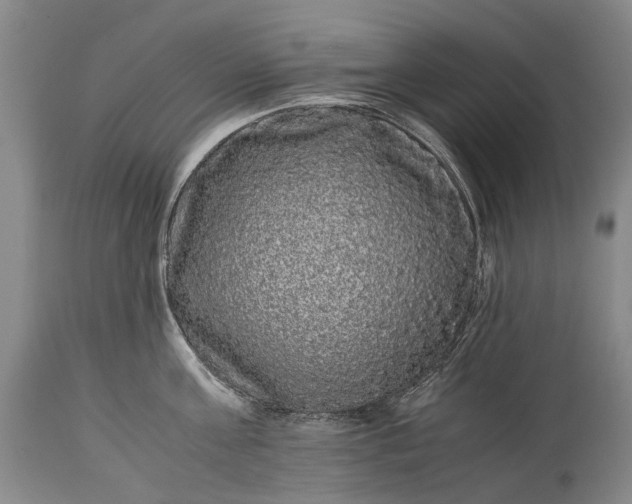 X0000115340811200911161830