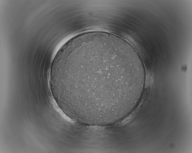 X0000115340812200911161830