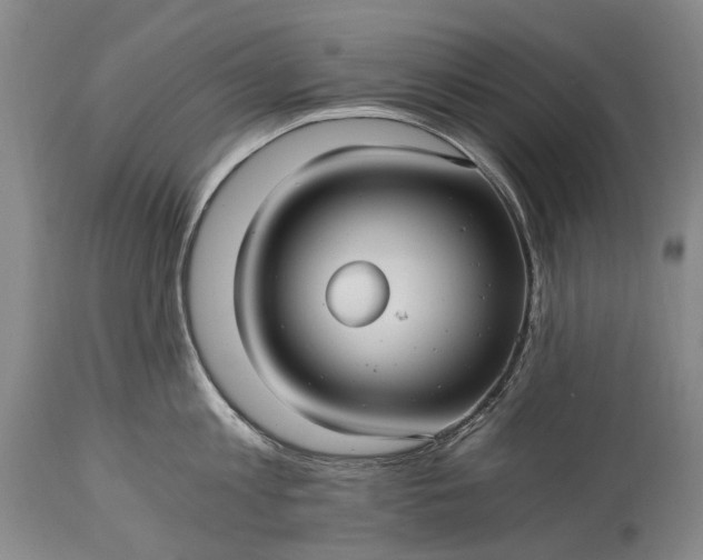 X0000115340813200911161830