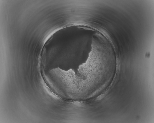 X0000115340814200911161830