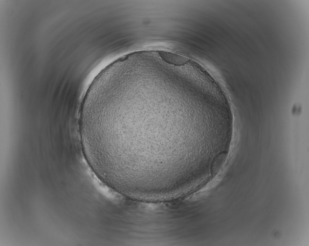 X0000115340816200911161830