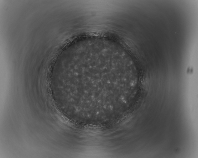 X0000115340817200911161830