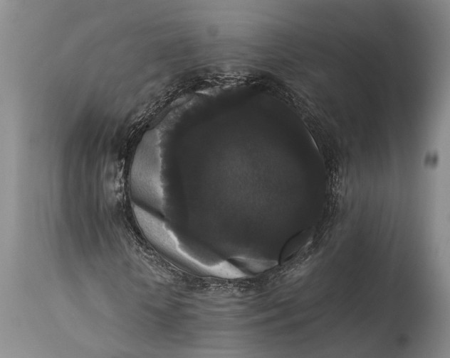 X0000115340818200911161830