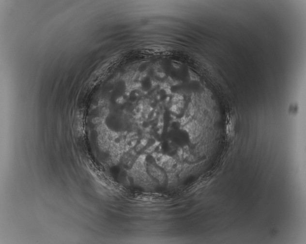 X0000115340819200911161830