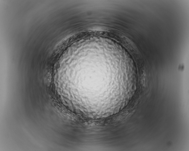 X0000115340821200911161830