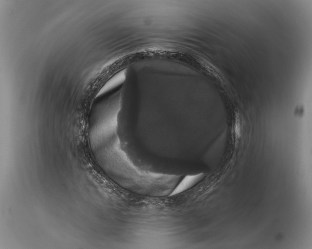 X0000115340822200911161830