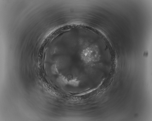 X0000115340823200911161830