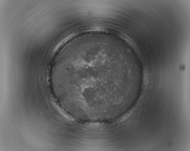 X0000115340826200911161830
