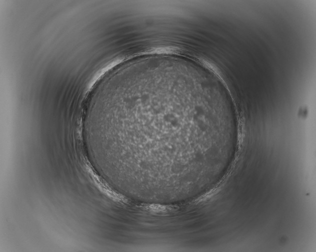 X0000115340827200911161830