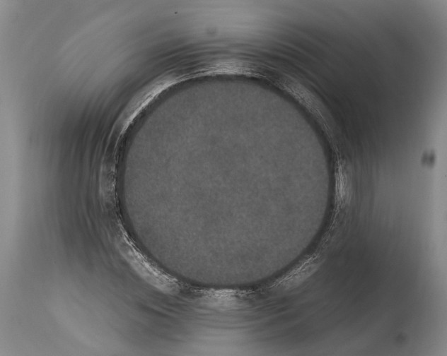 X0000115340828200911161830