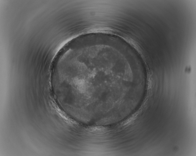 X0000115340830200911161830