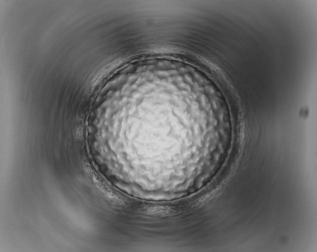 X0000115340833200911161830