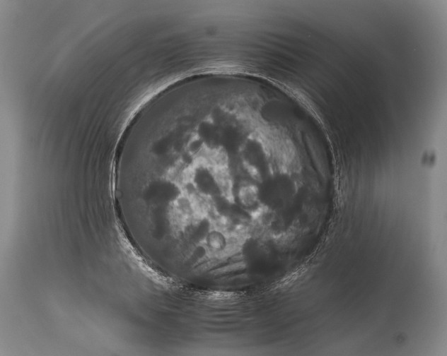 X0000115340839200911161830