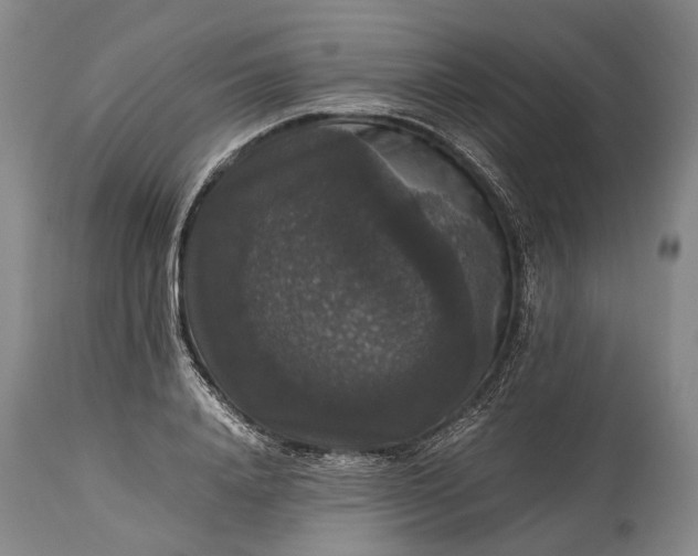 X0000115340840200911161830
