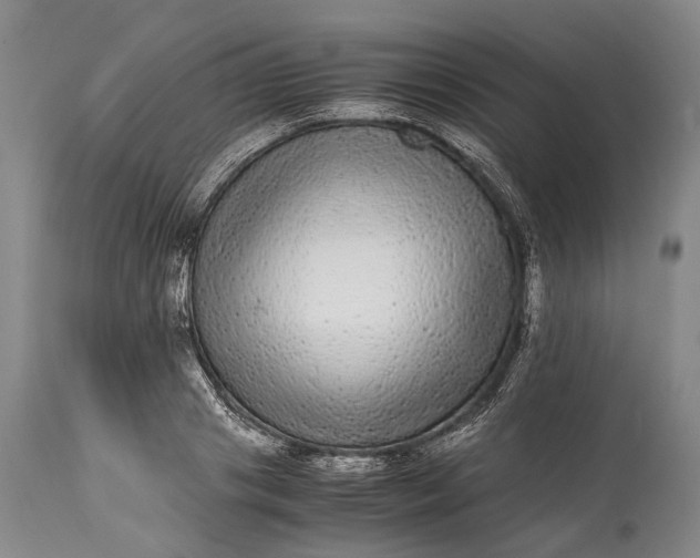 X0000115340841200911161830