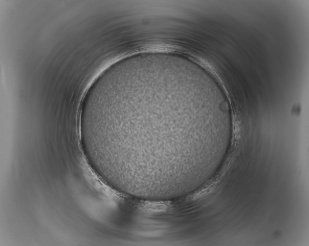 X0000115340843200911161830