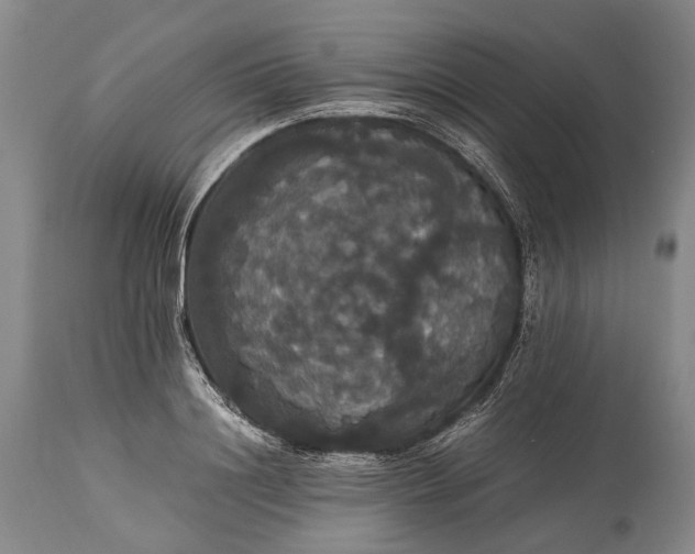 X0000115340844200911161830
