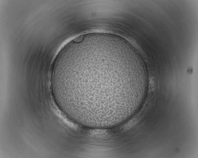 X0000115340846200911161830