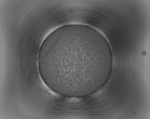 X0000115340847200911161830