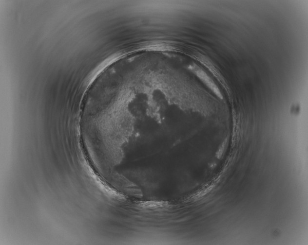 X0000115340853200911161830