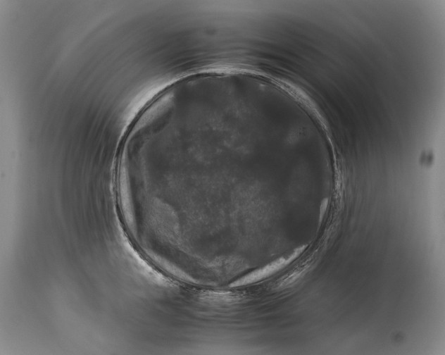 X0000115340855200911161830