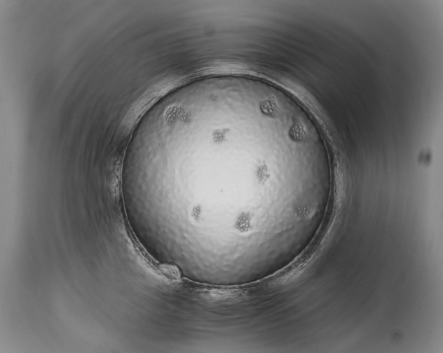 X0000115340857200911161830