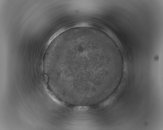 X0000115340858200911161830