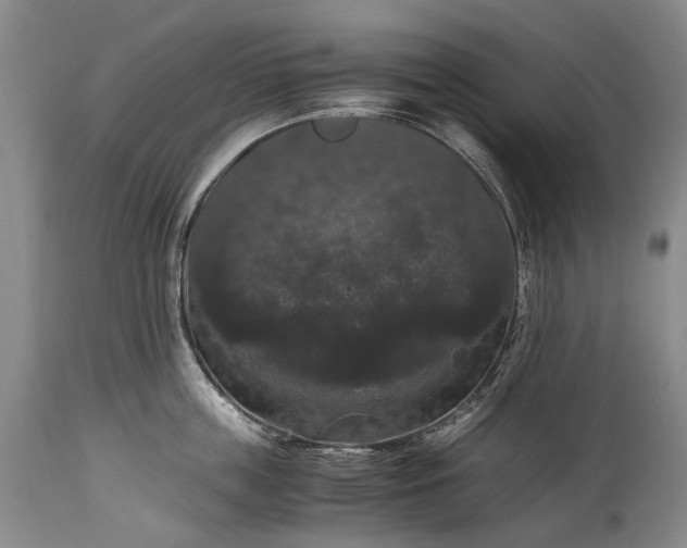 X0000115340859200911161830