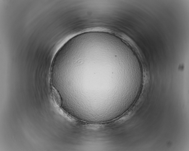X0000115340860200911161830