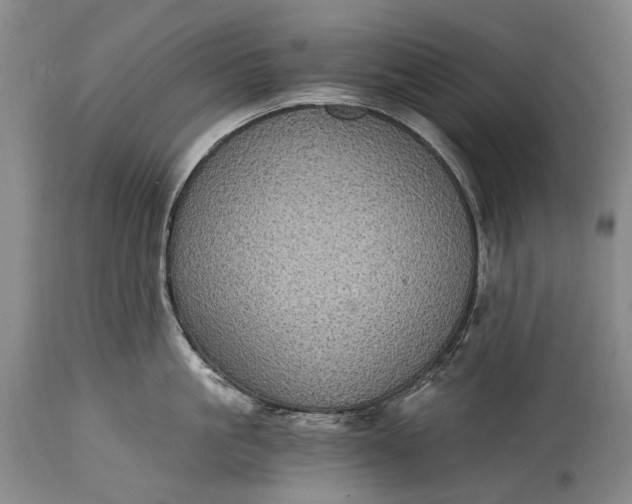 X0000115340861200911161830