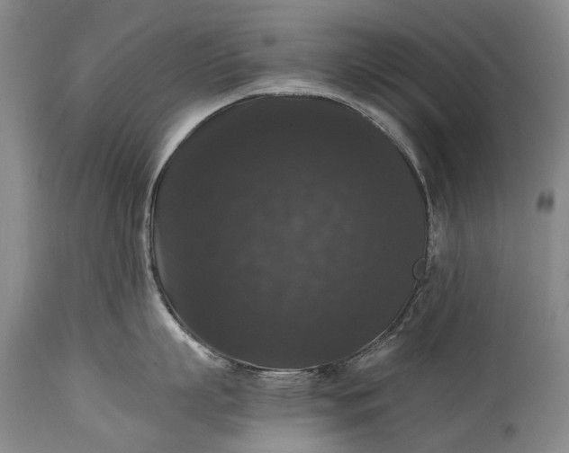 X0000115340863200911161830