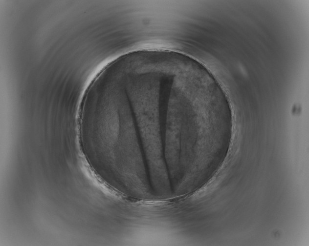X0000115340864200911161830