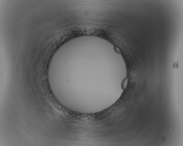X0000115340865200911161830