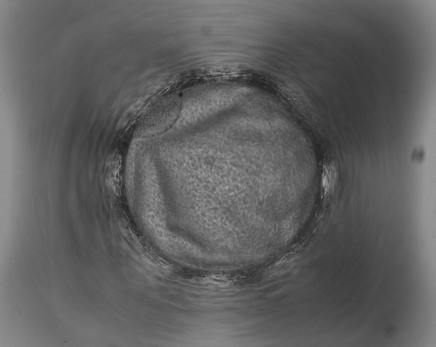 X0000115340867200911161830