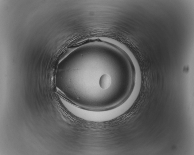 X0000115340868200911161830