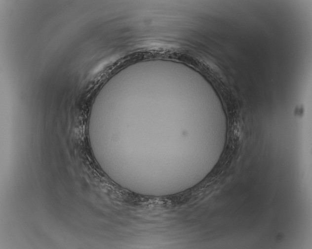 X0000115340869200911161830